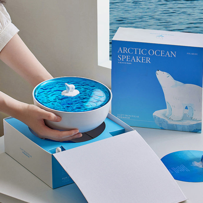 Tourne-disque Bluetooth rétro avec veilleuse à LED Polar Arctic Ocean - Cadeau idéal pour les enfants et les filles